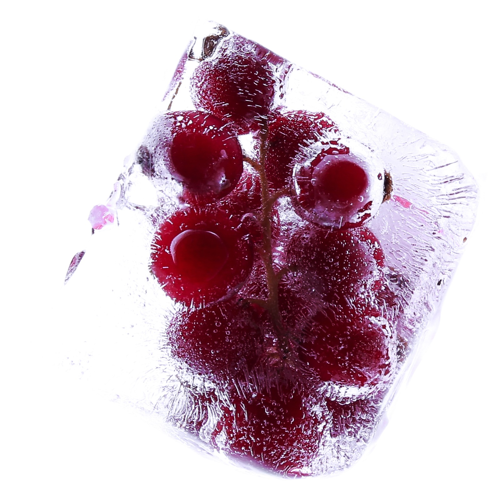 Freeze-Dried Fruits vs Fresh Fruits – Which Is Better for Health?