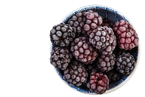 Frozen Fruits 4