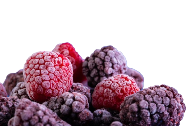 How to Choose a Reliable Frozen Fruits & Vegetables Supplier and Exporter for Bulk Orders