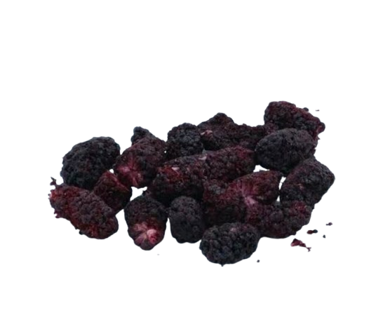 Freeze_Dried_Mulberry