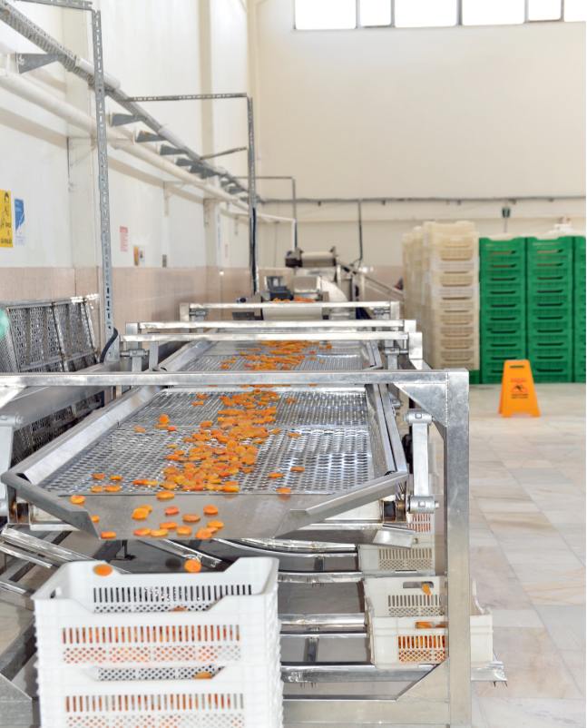 Pre-Washing-and-Cleaning