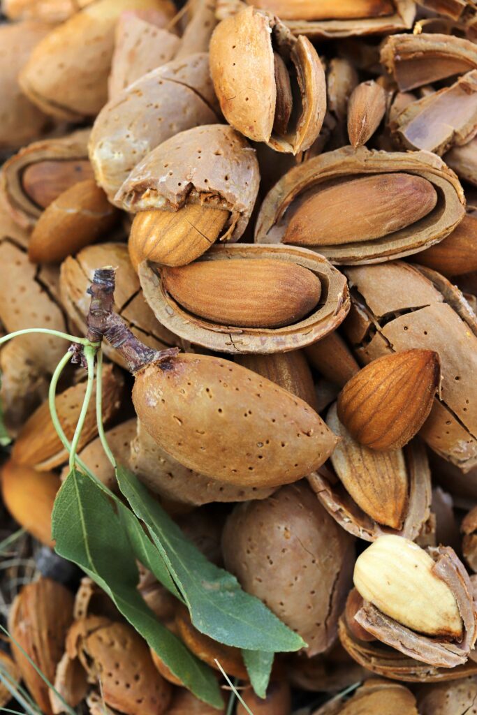 Almonds