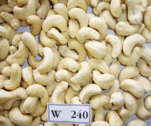 w240 cashew kernels premium whole