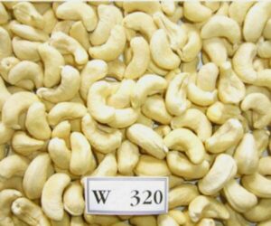 w320 cashew kernels whole