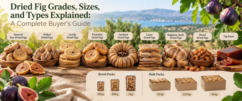 Different Turkish dried fig types including sun-dried, Lerida, Protoben, Garland, Layer and Baglama figs, with retail and bulk packaging options