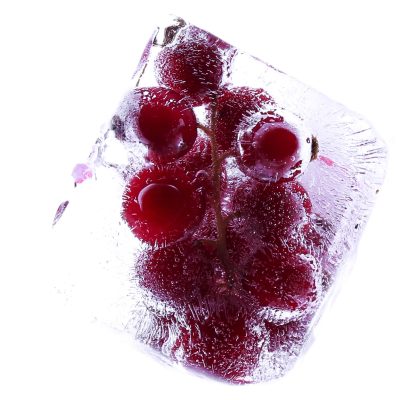 Freeze Dried Fruits