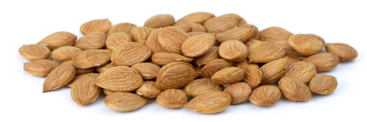 Small pile of dried-up sweet apricot pits